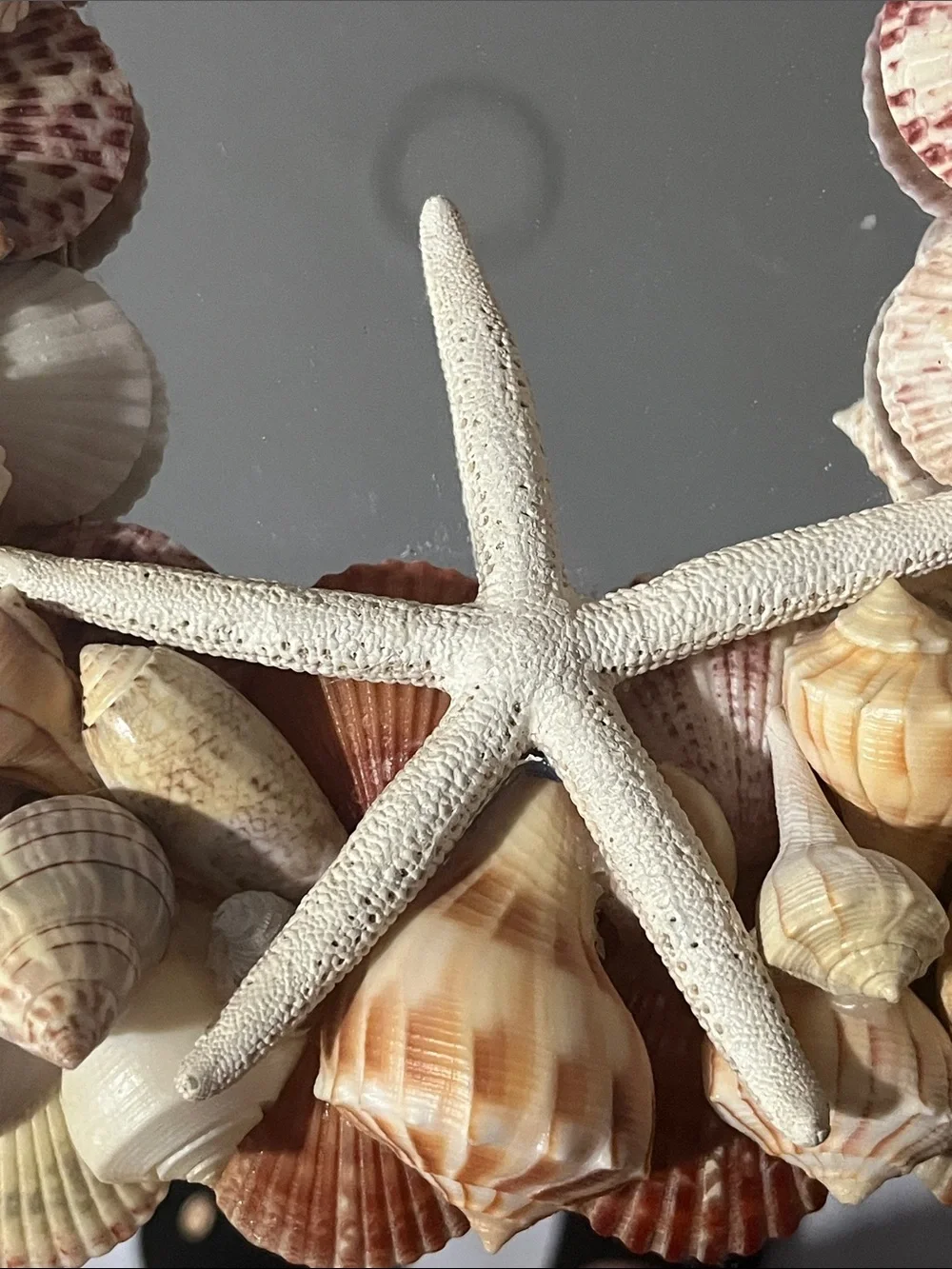 Handmade Coastal Seashell “Charli’ Starfish Wall Mirror - Natural Beige Shells